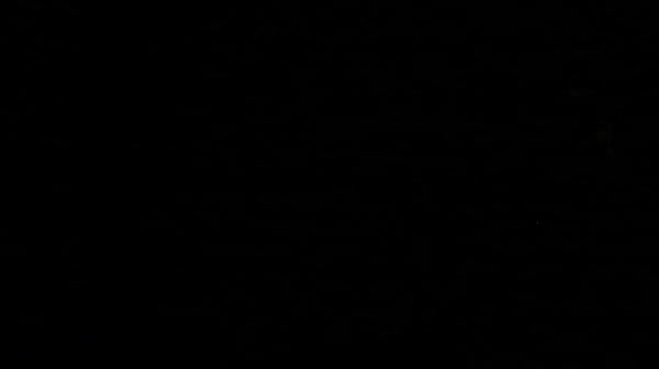mvi_2272.mp4