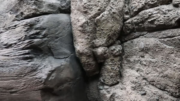mvi_3605.mp4