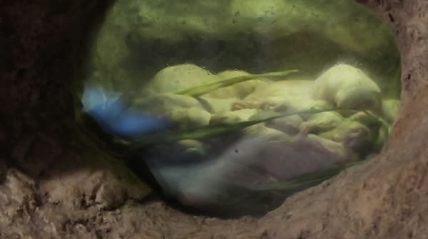 mvi_3793.mp4